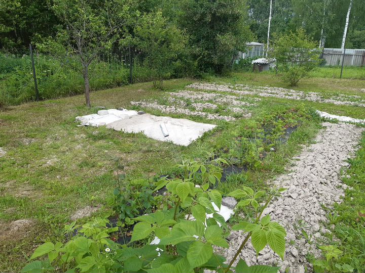 Участок 4 сот. (СНТ, ДНП)