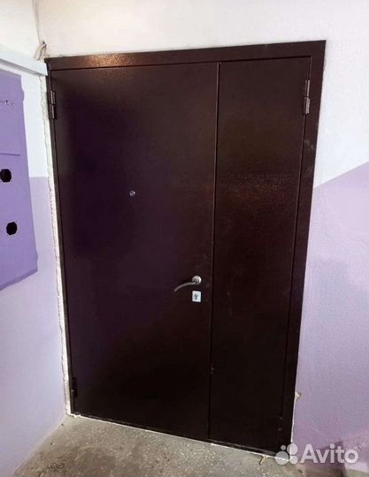 Тамбурная дверь на площадке