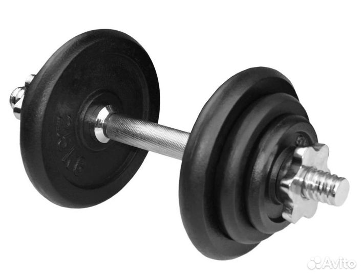 Гантель наборная 10кг крашеные диски d-26мм S2062