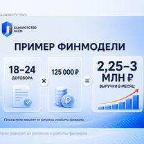 Доходная франшиза с выручкой 2-3млн. в месяц, Сасово