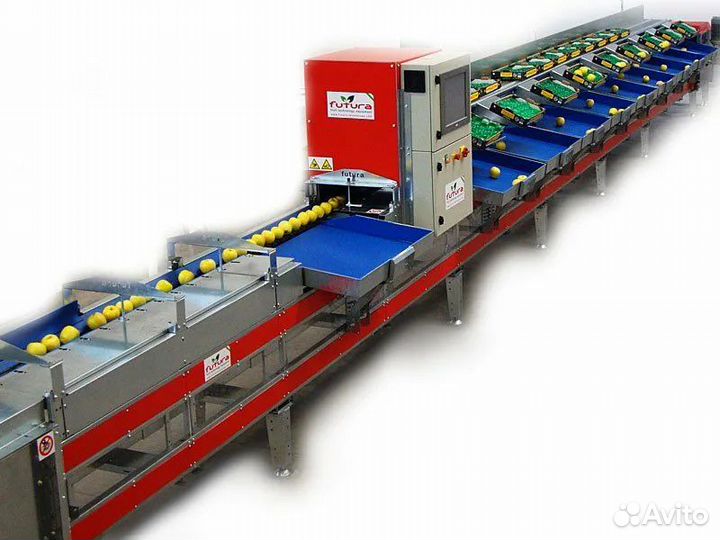 Линия переборки, сортировки, упаковки фруктов