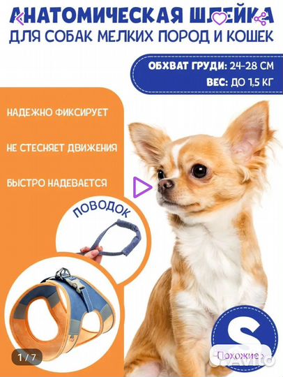 Шлейка с поводком, для маленьких собак или кошек