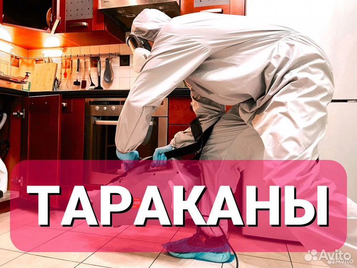 Дезинфекция тараканов. Уничтожение клопов. Травить