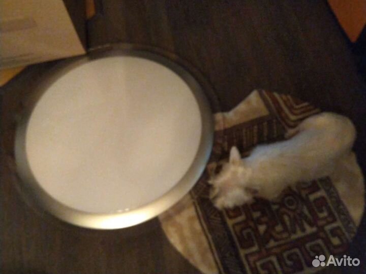 Люстра потолочная светодиодная с пультом