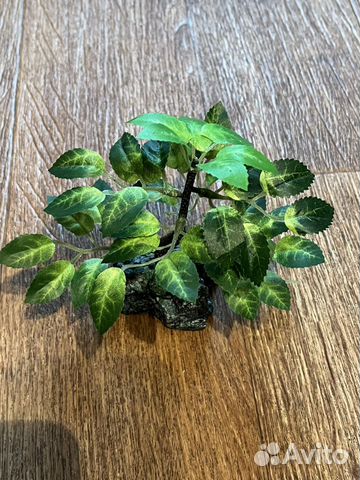 Деревце бансай в камне ширина 6см высота 12см