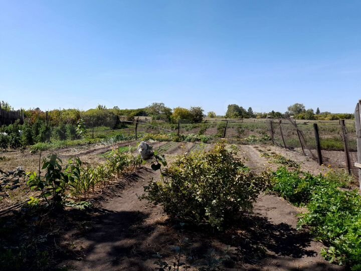 Дом 91 м² на участке 58 сот.