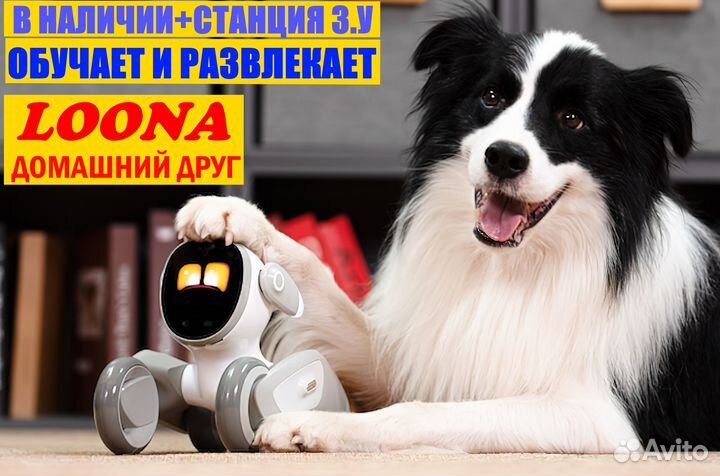 Loona домашний питомец с искуственным интелектом в