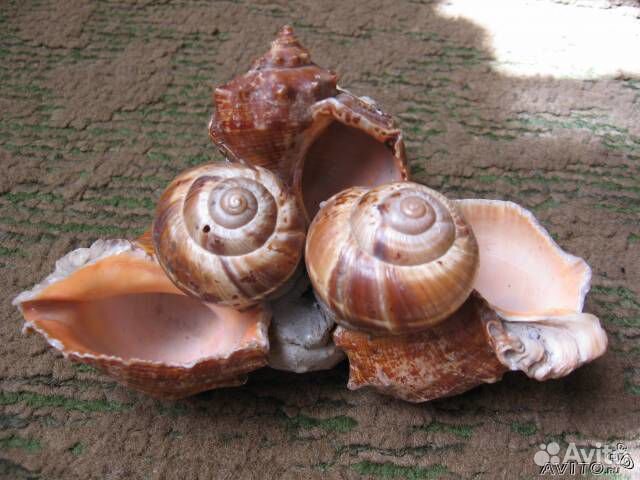 Грот для аквариума