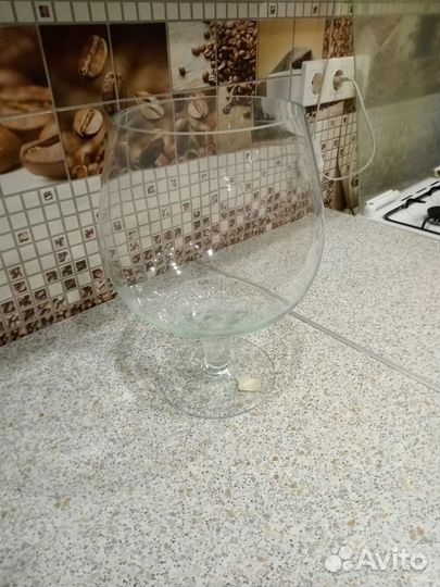 Бокал аквариум