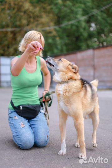 Весёлый Радик подарит вам счастье