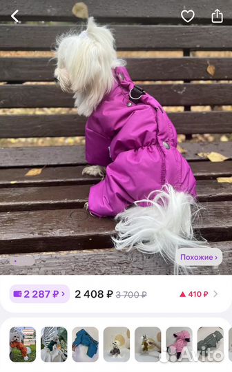 Комбинезон девочки для собак мелких пород