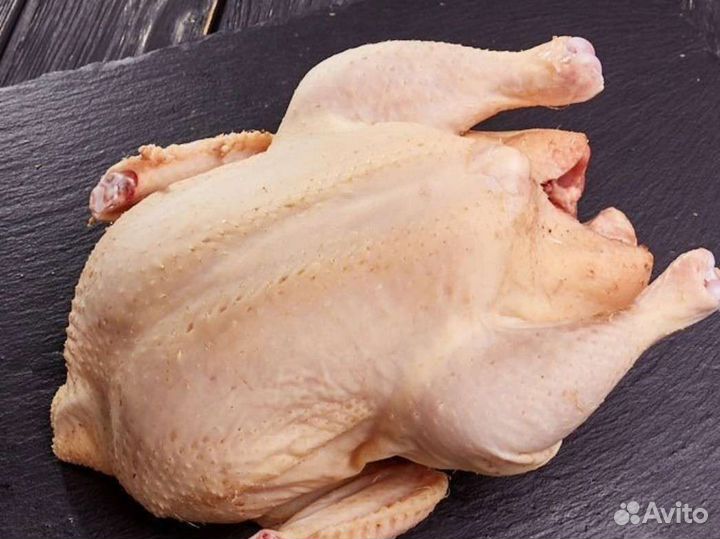 Куры бройлеры домашние