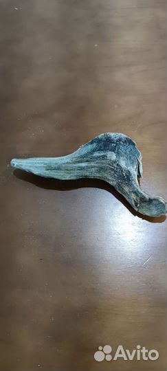 Коряги Дрифтвуд для аквариума и террариума