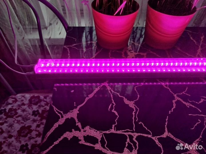Фитолампа для растений полный спектр