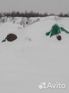 Сено в рулонах