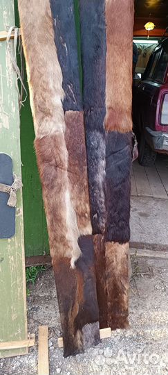 Лыжи охотничьи