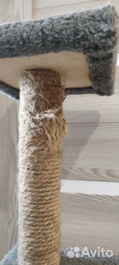 Когтеточка