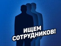 Продавец - консультант