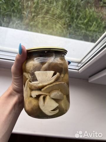 Гриб белый маринованный, Груздь соленый купить в Новосибирске | Товары ...