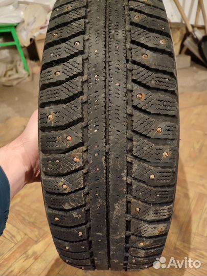 Amtel NordMaster 195/65 R15