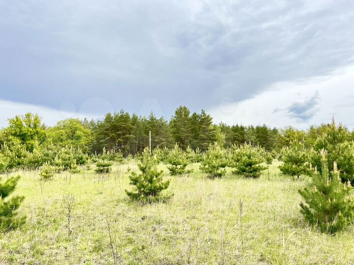 Участок 10 сот. (ИЖС)