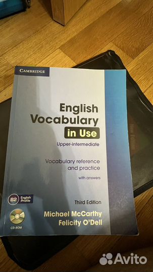 English vocabulary in use