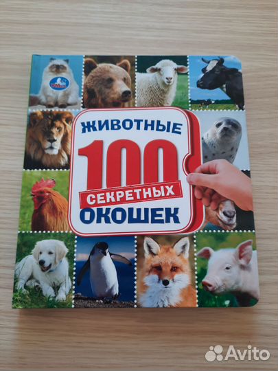 Детская книга с окошками