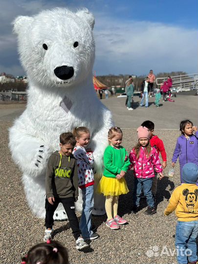 Поздравление белый медведь, Ростовая кукла