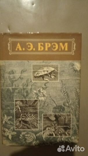 Брэм жизнь животных в 3-х томах