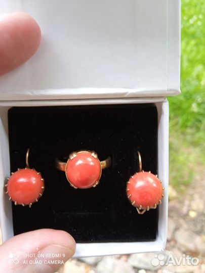 Кораллы в позолоте