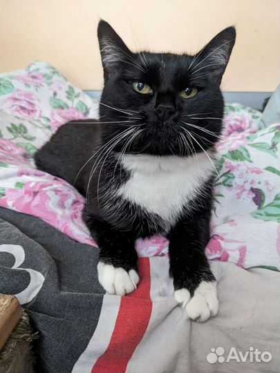 Помогите найти дом Малышке