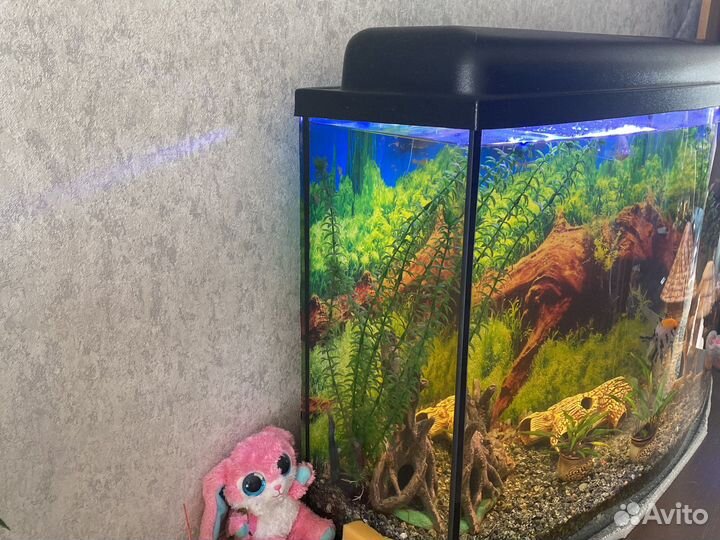Аквариум
