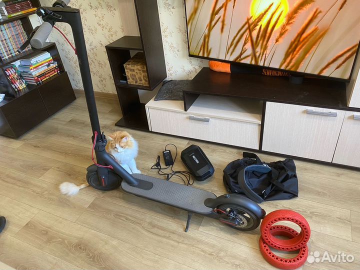 Электросамокат xiaomi electric scooter 1s