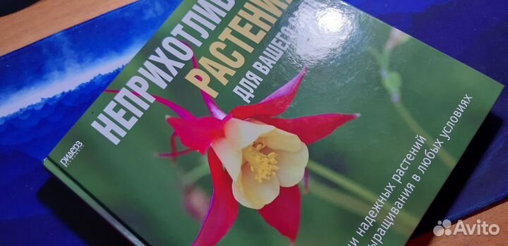 Неприхотливые растения для вашего сада