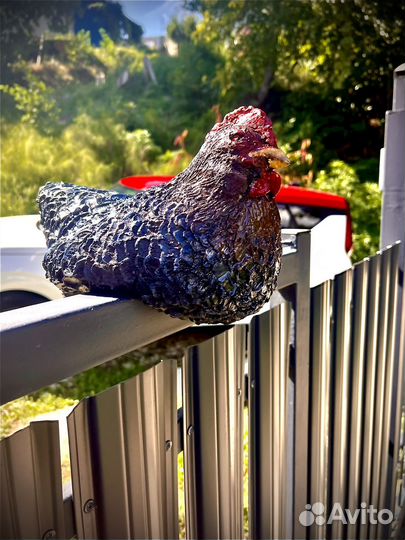 Фигурка курицы