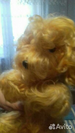 Собака из СССР