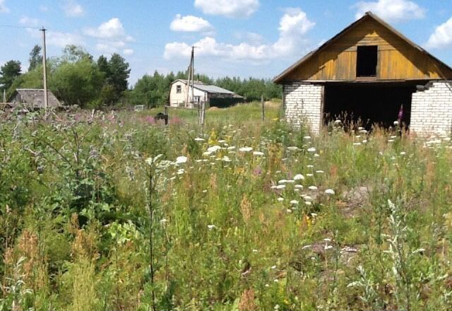 Участок 15 сот. (ИЖС)