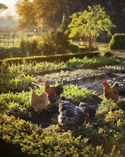 Участок 14 сот. (ИЖС)