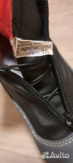 Лыжные ботинки spine 36