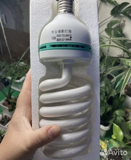 Фотоаксессуары