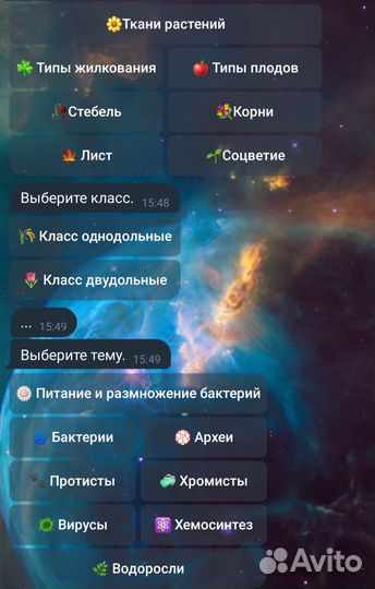 Конспекты по химии и биологии в Телеграм Боте