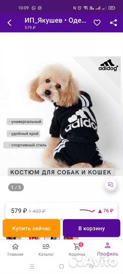 Спортивный костюм для собачки
