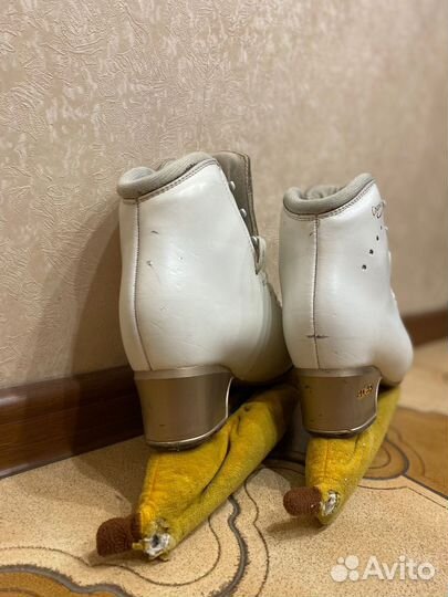 Коньки edea chorus 235 gold seal 8,75 (8 3/4)