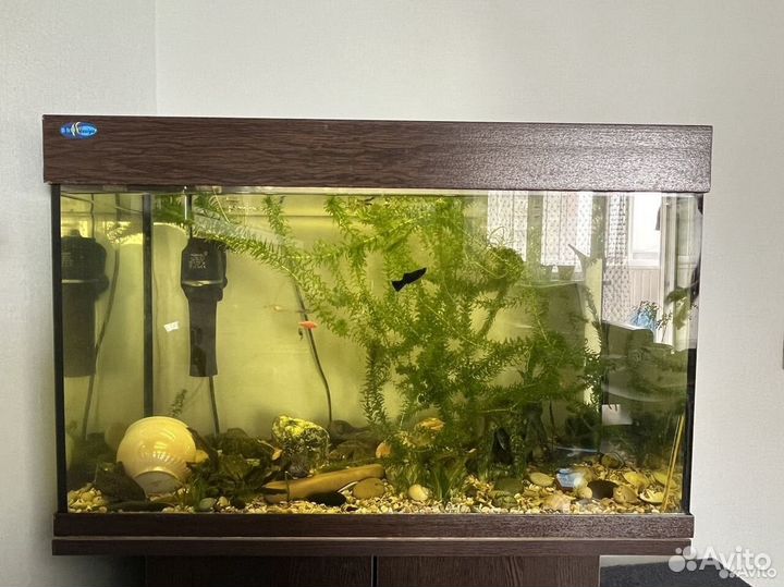 Аквариум 140 литров