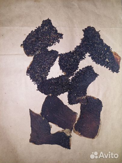 Сушеные лакомства для собак