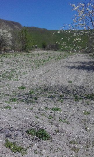 Дача 20 м² на участке 25 сот.