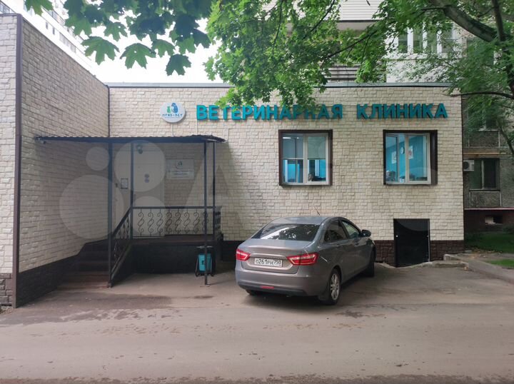 Торговая площадь 523 м²