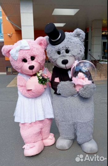 Аниматор. Ростовая кукла на праздник. Мишка, Зайка