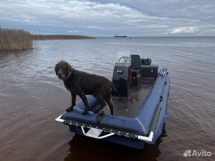 Лодка Болотоход Бриз 430