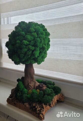 Бонсай Топиарий